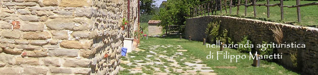 nell'azienda agricola di Filippo Manetti